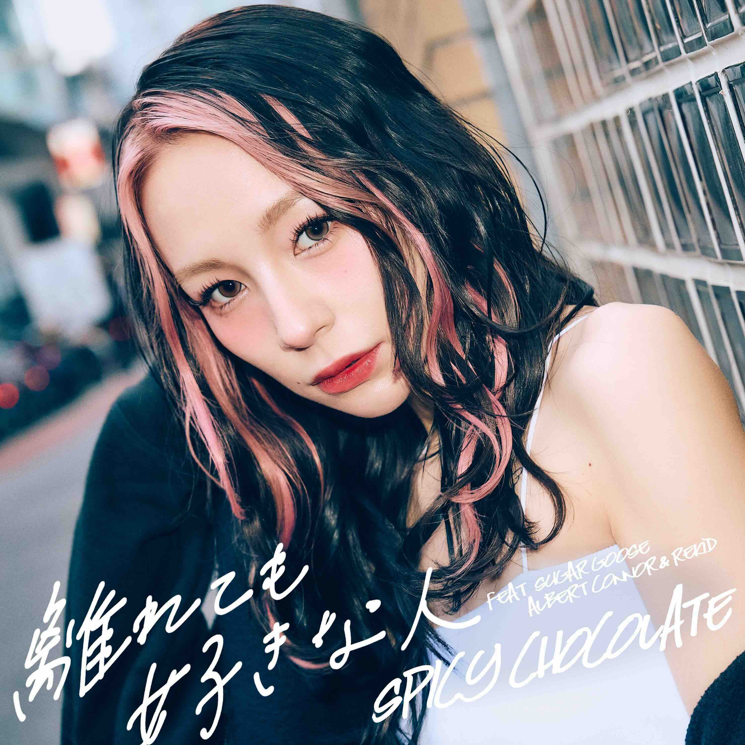 公式】SPICY CHOCOLATE（スパイシーチョコレート） | BIO